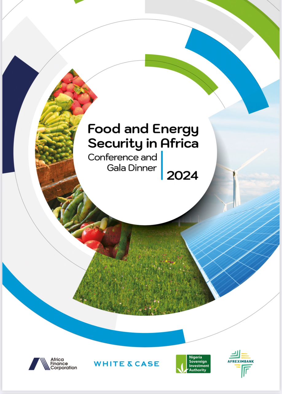 Food and Energy Security in Africa logo